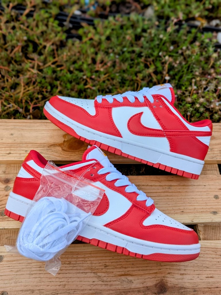 Nike sb dunks